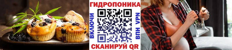 kraken маркетплейс  Карабулак  Cannafood марихуана 