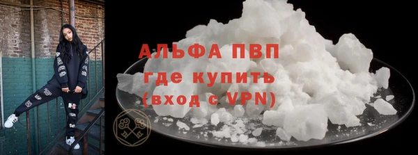 сатива Инта