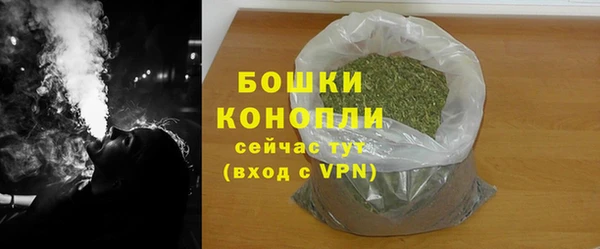 сатива Инта