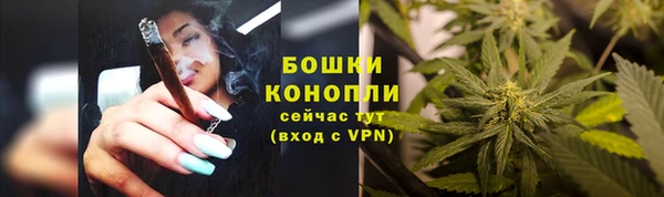 ешки Инсар