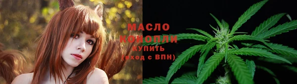сатива Инта