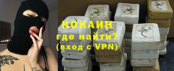 сатива Инта